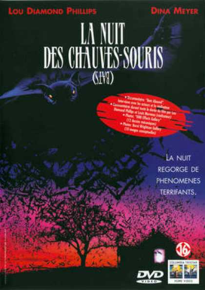 French DVDs - La Nuit Des Chauves Souris - Bats