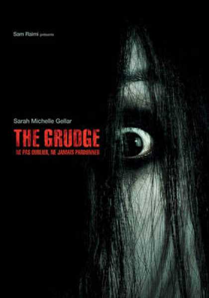 French DVDs - The Grudge 1