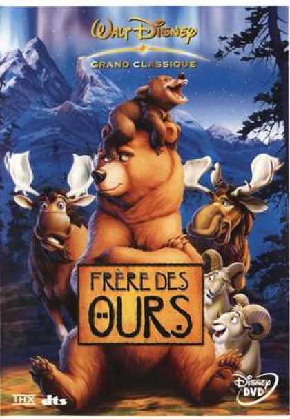 French DVDs - Frere Des Ours