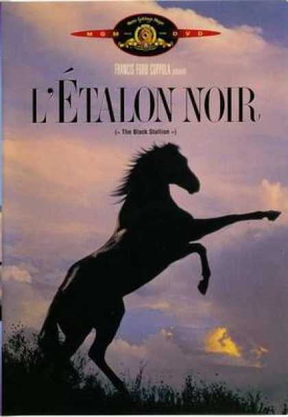 French DVDs - The Black Stallion