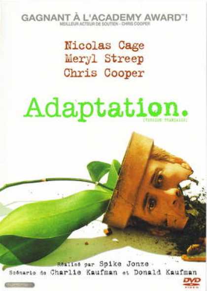 French DVDs - Adaptation