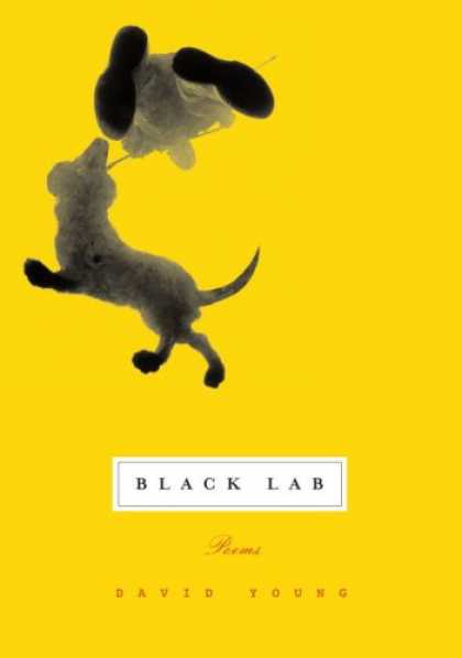 Greatest Book Covers - Black Lab
