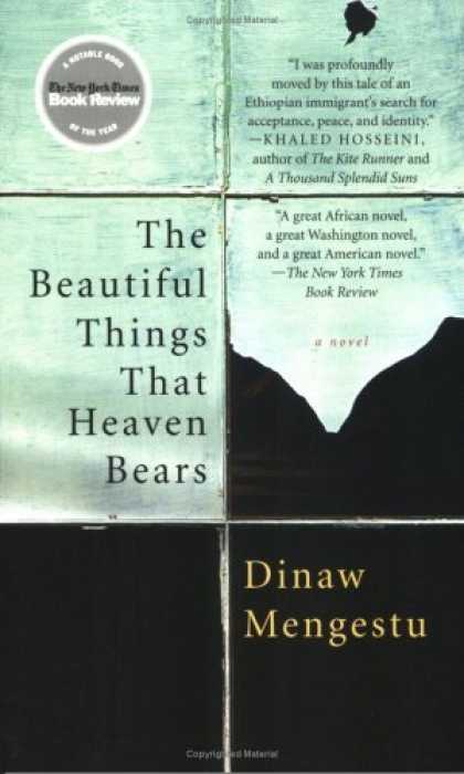 Greatest Book Covers - The Beautiful Things That Heaven Bears