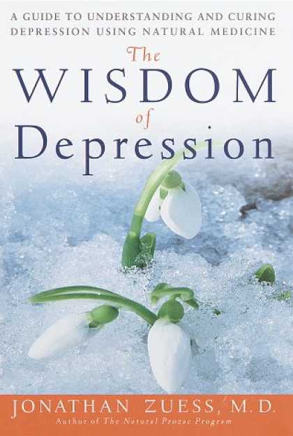 Harmony Books - The Wisdom of Depression: A Guide to Understanding and Curing Depression Using N
