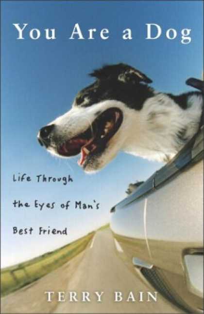 Harmony Books - You Are a Dog: Life Through the Eyes of Man's Best Friend