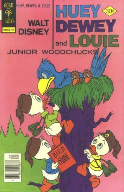 Huey, Dewey and Louie: Junior Woodchucks 46 - Climbing - Tree - Birds - Nest - Binoculars