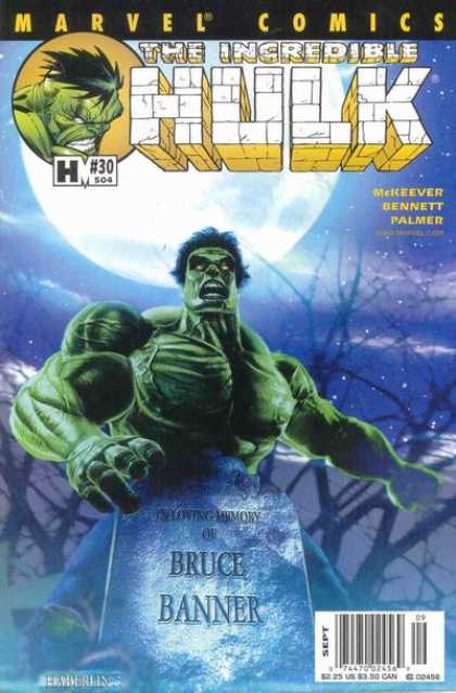 Hulk (2000) 30 - Bruce Banner - The Incredible - Mckeever - Bennett - Palmer