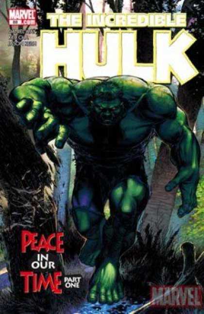 Hulk (2000) 88 - Brandon Peterson