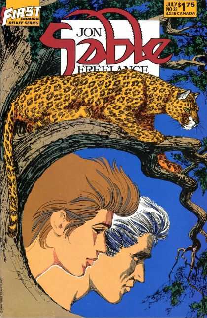 Mike Grell Jon Sable Freelance 38 - Mike Grell