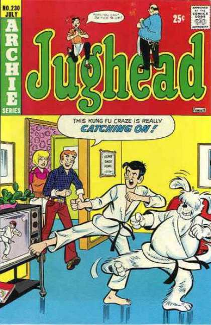 Jughead 230 - Archie - Kung Fu - Living Room - Tv - Dog