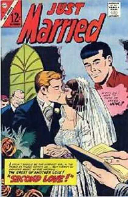 Just Married 50 - Wedding - Kiss - Veil - Second Love - Green Window