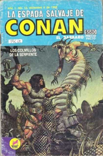 La Espada Salvaje de Conan (1988) 13