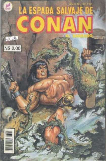 La Espada Salvaje de Conan (1988) 192