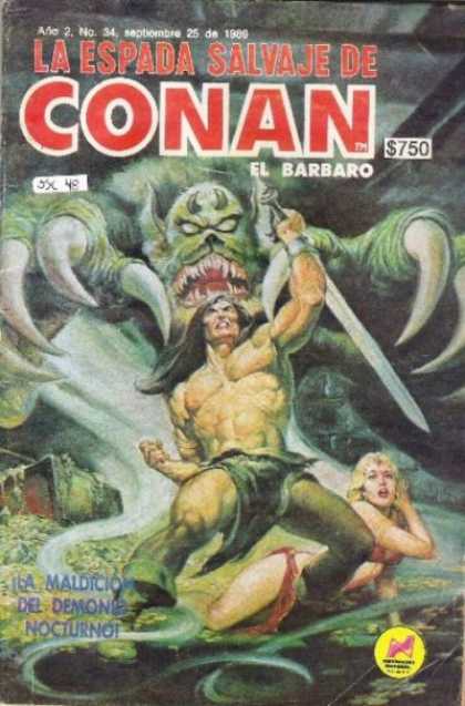 La Espada Salvaje de Conan (1988) 34