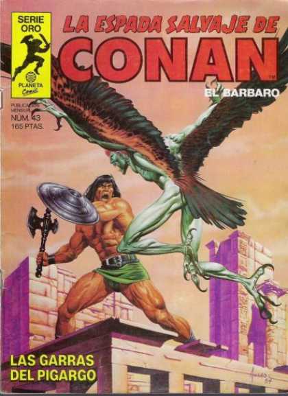 La Espada Salvaje de Conan 43