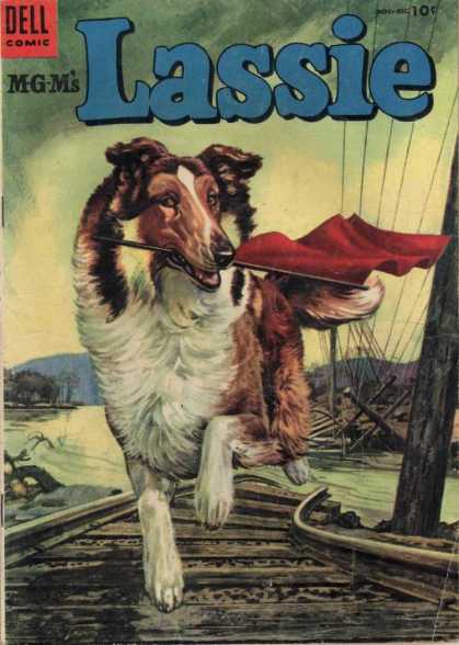 Lassie 19 - Border Collie - Train Tracks - Red Flag - Downed Power Lines - Lassie Running