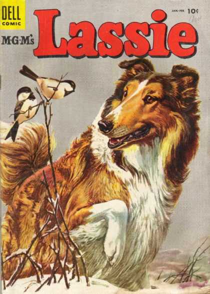 Lassie 20