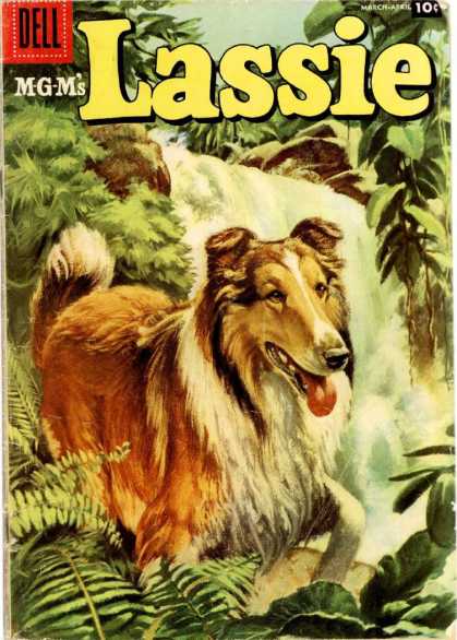Lassie 33 - Collie - Dog - Tougue - Waterfall - Forest