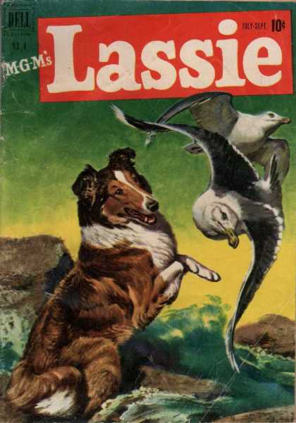 Lassie 4 - Ocean - Dog - Collie - Sea Gulls - Rocks