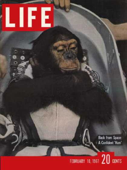 Life - Astrochimp