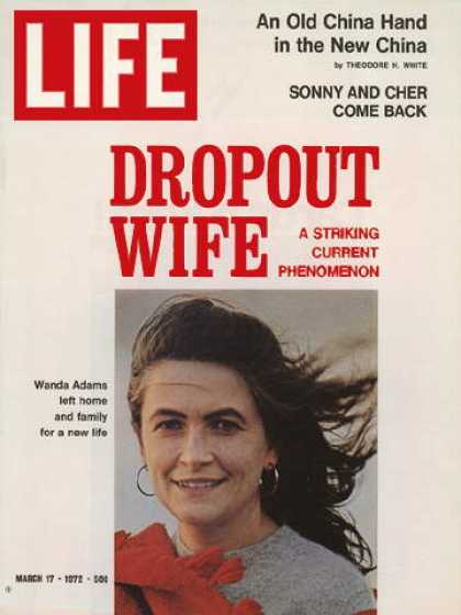 Life - Dropout wife