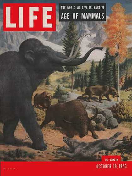 Life - Age of mammals