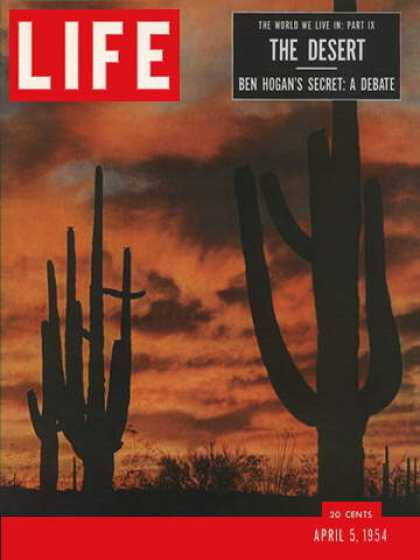 Life - The desert