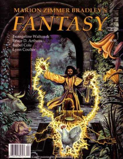 Marion Zimmer Bradley's Fantasy Magazine - 1993