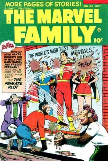 Marvel Family 85