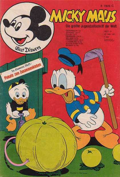Micky Maus 805 - Walt Disney - Ducks - Donald - Grass - Fance