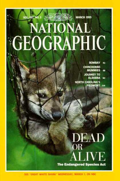 National Geographic 1192