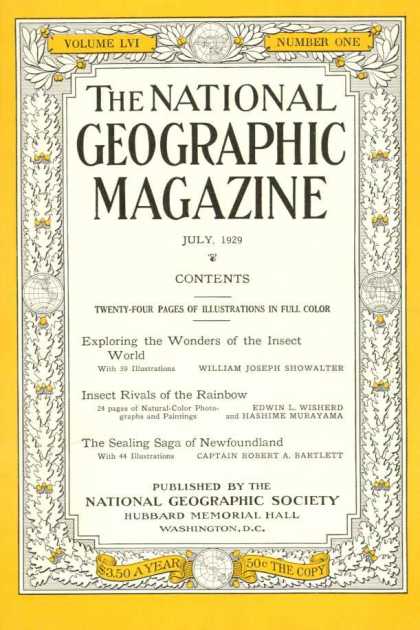 National Geographic 441