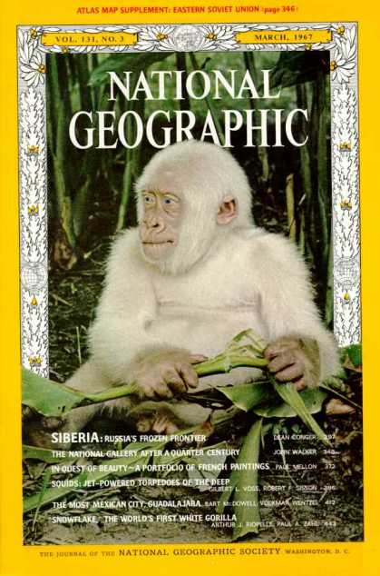 National Geographic 854