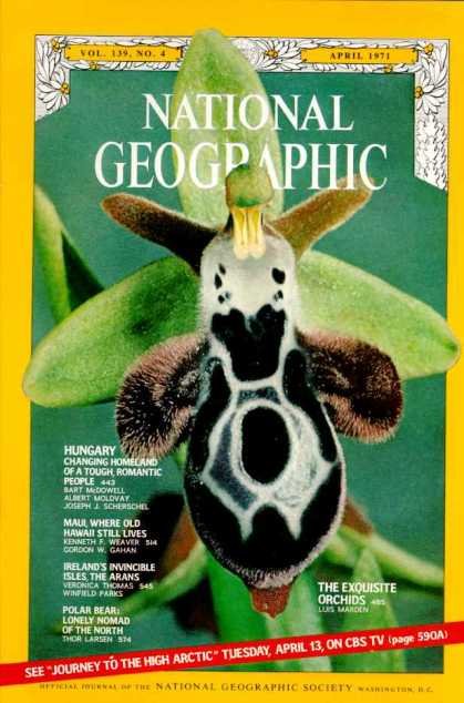 National Geographic 903