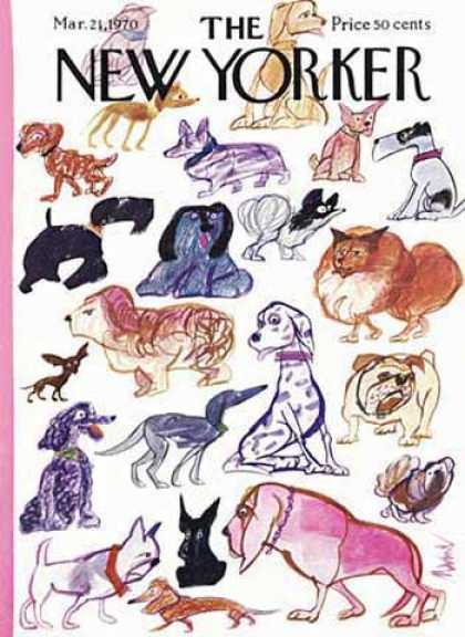 New Yorker 2260