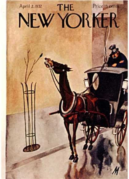 New Yorker 362