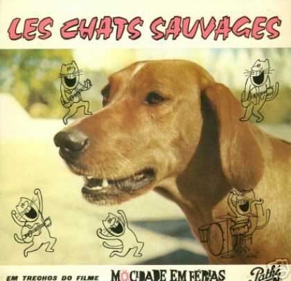 Oddest Album Covers - <<What dogs see>>