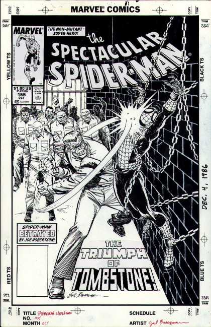 Original Cover Art - Spectacular Spiderman #155 Cover (1989
