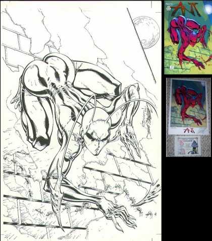 Original Cover Art - Ant (poster and comic cover art)