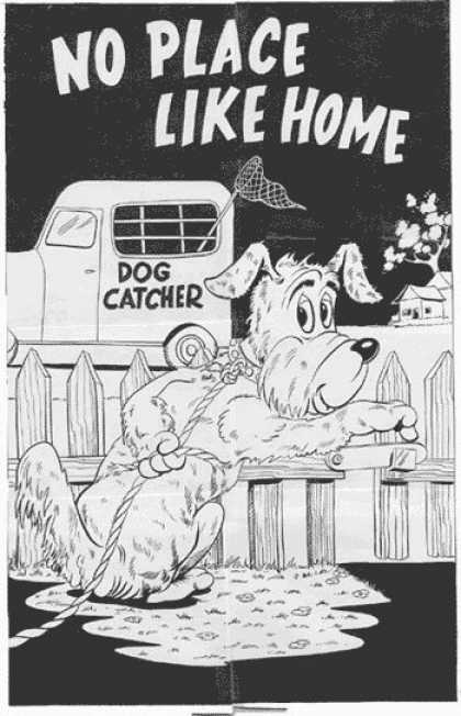 Original Cover Art - Funny Animal Cover - Dog Catcher - Truck - Net - Dog - Leash