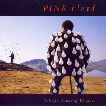 Pink Floyd - Pink Floyd - Delicate Sound Of Thunder