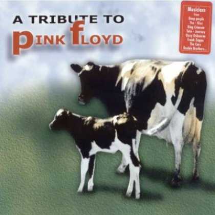 Pink Floyd - A Tribute To Pink Floyd