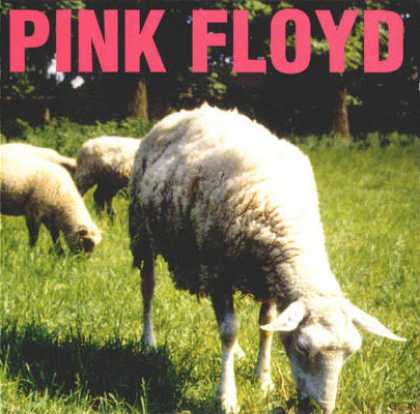 Pink Floyd - Pink Floyd - Dogs And Sheeps
