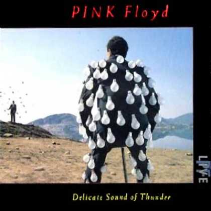 Pink Floyd - Pink Floyd Delicate Sound Of Thunder