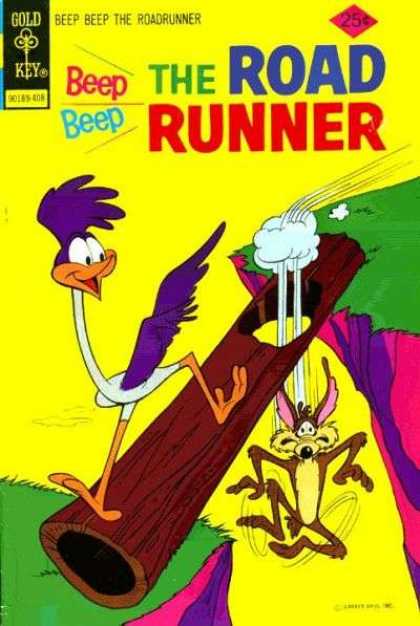 Road Runner 44 - Wile E Coyote - Cliff - Log - Hole - Fall