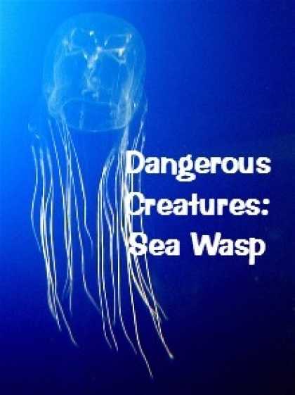 Role Playing Games - Dangerous Creatures: Sea Wasp
