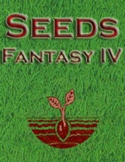 Role Playing Games - Seeds: Fantasy IV