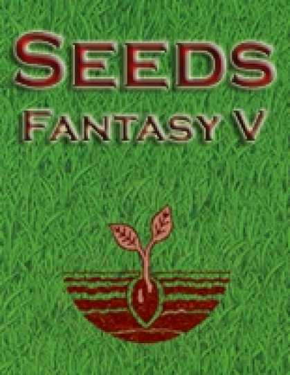 Role Playing Games - Seeds: Fantasy V