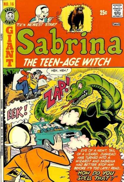 Sabrina the Teen-Age Witch 16