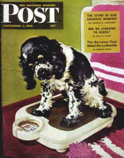Saturday Evening Post - 1945-09-01: Butch Weighs In (Albert Staehle)